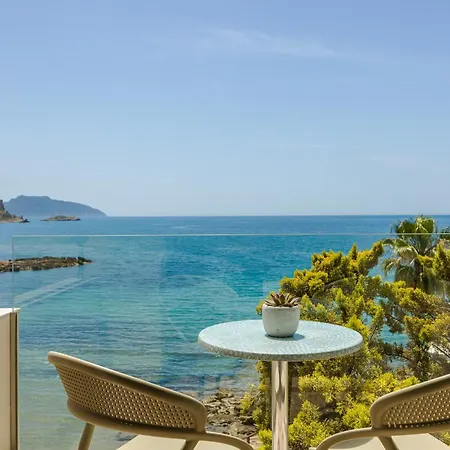 Alas & Ελιά Λακωνίας