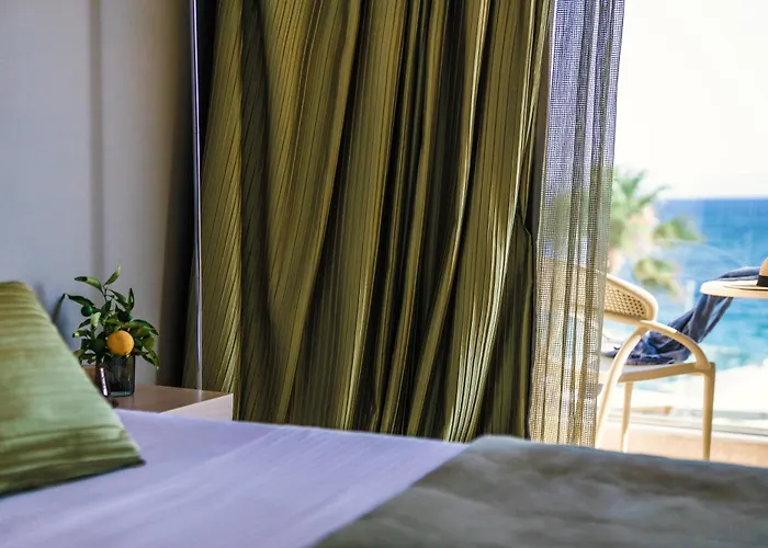 Alas & Ελιά Λακωνίας