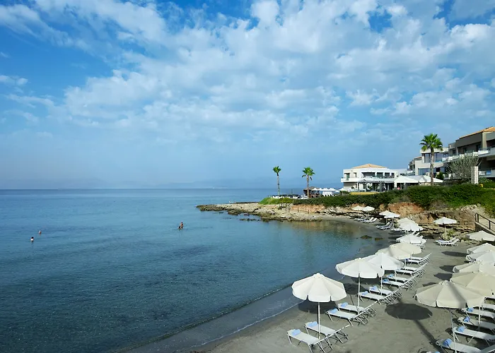 Alas & Ελιά Λακωνίας