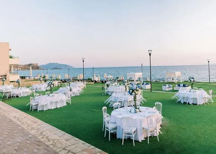 Alas & Ελιά Λακωνίας